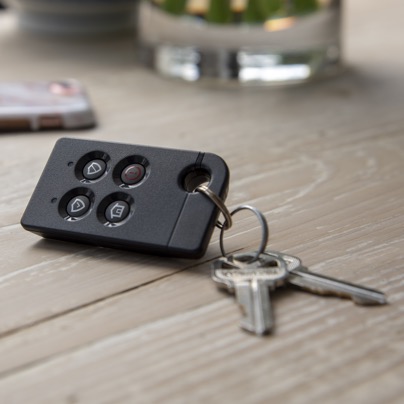 Ann Arbor security key fob