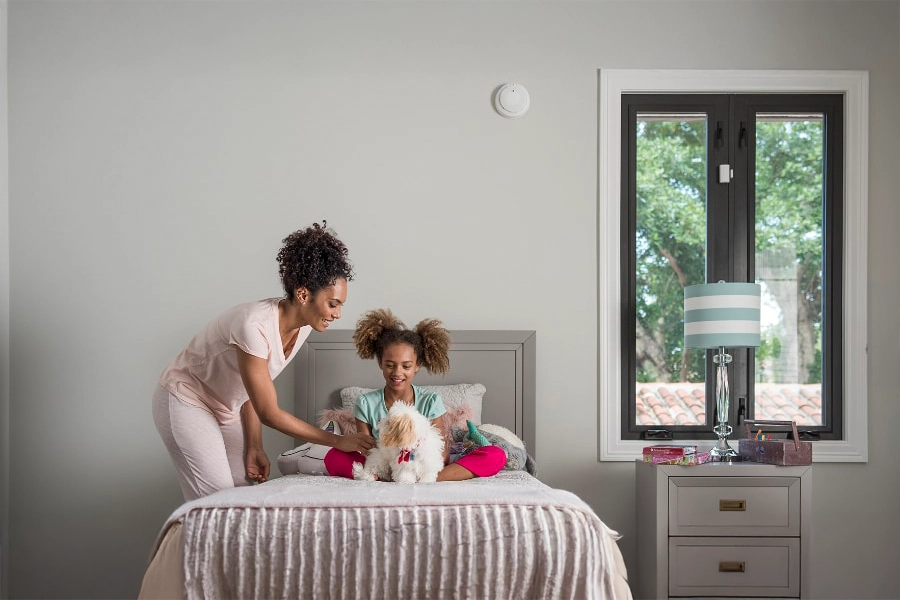 smoke & carbon detector Ann Arbor